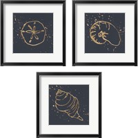 Framed Gold Sea Life 3 Piece Framed Art Print Set