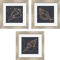 Framed 'Gold Conch 3 Piece Framed Art Print Set' border=