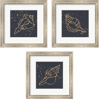 Framed 'Gold Conch 3 Piece Framed Art Print Set' border=