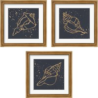 Framed Gold Conch 3 Piece Framed Art Print Set