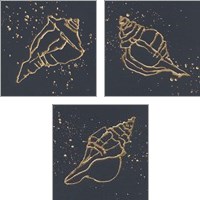 Framed Gold Conch 3 Piece Art Print Set