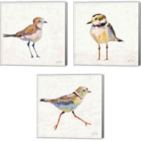 Framed Coastal Plover Linen 3 Piece Canvas Print Set