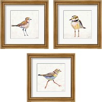 Framed 'Coastal Plover Linen 3 Piece Framed Art Print Set' border=