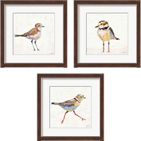 Framed 'Coastal Plover Linen 3 Piece Framed Art Print Set' border=