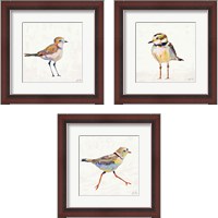 Framed Coastal Plover Linen 3 Piece Framed Art Print Set