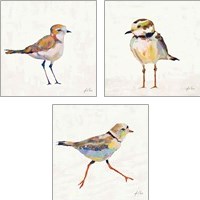 Framed 'Coastal Plover Linen 3 Piece Art Print Set' border=