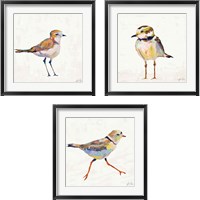 Framed 'Coastal Plover Linen 3 Piece Framed Art Print Set' border=