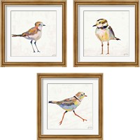 Framed Coastal Plover Linen 3 Piece Framed Art Print Set