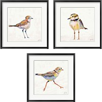 Framed 'Coastal Plover Linen 3 Piece Framed Art Print Set' border=