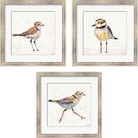 Framed 'Coastal Plover Linen 3 Piece Framed Art Print Set' border=