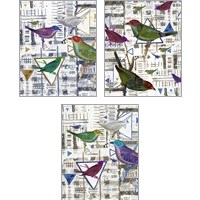 Framed 'Bird Intersection 3 Piece Art Print Set' border=