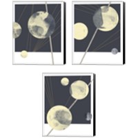 Framed 'Planetary Weights 3 Piece Canvas Print Set' border=