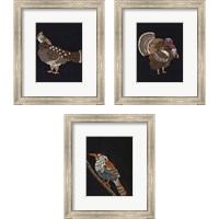 Framed 'Forest Dweller 3 Piece Framed Art Print Set' border=