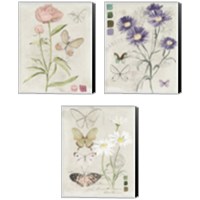Framed 'Field Notes Florals 3 Piece Canvas Print Set' border=