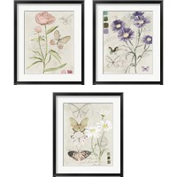 Framed 'Field Notes Florals 3 Piece Framed Art Print Set' border=