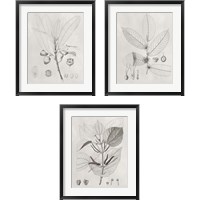 Framed Vintage Leaves 3 Piece Framed Art Print Set