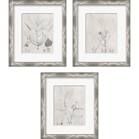 Framed Vintage Leaves 3 Piece Framed Art Print Set