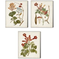 Framed 'Vintage Flowering Trees 3 Piece Canvas Print Set' border=