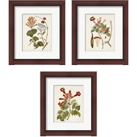 Framed Vintage Flowering Trees 3 Piece Framed Art Print Set