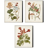Framed 'Vintage Flowering Trees 3 Piece Canvas Print Set' border=