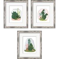 Framed 'Terrarium Cameo 3 Piece Framed Art Print Set' border=