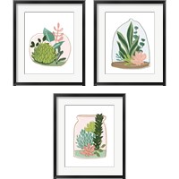 Framed 'Terrarium Cameo 3 Piece Framed Art Print Set' border=