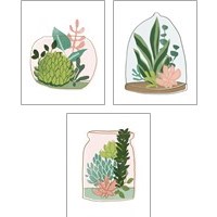 Framed 'Terrarium Cameo 3 Piece Art Print Set' border=