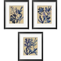 Framed 'Underwater Forest 3 Piece Framed Art Print Set' border=