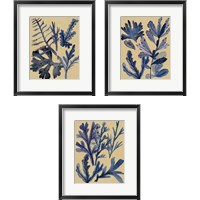 Framed 'Underwater Forest 3 Piece Framed Art Print Set' border=