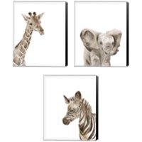 Framed 'Safari Animal Portraits 3 Piece Canvas Print Set' border=