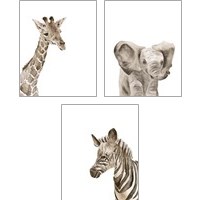 Framed 'Safari Animal Portraits 3 Piece Art Print Set' border=