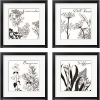 Framed 'Flowering Herbs 4 Piece Framed Art Print Set' border=