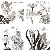 Framed 'Flowering Herbs 4 Piece Art Print Set' border=