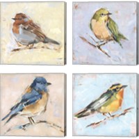 Framed Bird Variety 4 Piece Canvas Print Set