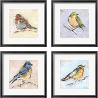 Framed 'Bird Variety 4 Piece Framed Art Print Set' border=