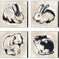 Framed 'Antique Rabbit 4 Piece Canvas Print Set' border=