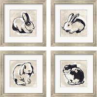 Framed Antique Rabbit 4 Piece Framed Art Print Set