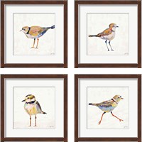 Framed 'Coastal Plover Linen 4 Piece Framed Art Print Set' border=