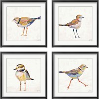 Framed Coastal Plover Linen 4 Piece Framed Art Print Set