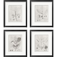 Framed Vintage Leaves 4 Piece Framed Art Print Set