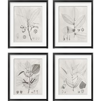 Framed 'Vintage Leaves 4 Piece Framed Art Print Set' border=