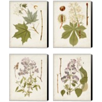 Framed Vintage Flowering Trees 4 Piece Canvas Print Set