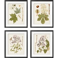 Framed Vintage Flowering Trees 4 Piece Framed Art Print Set