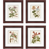 Framed 'Vintage Flowering Trees 4 Piece Framed Art Print Set' border=