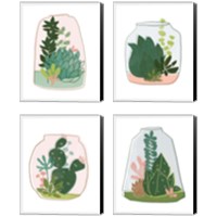 Framed 'Terrarium Cameo 4 Piece Canvas Print Set' border=