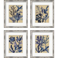 Framed 'Underwater Forest 4 Piece Framed Art Print Set' border=