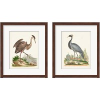 Framed Antique Heron & Cranes 2 Piece Framed Art Print Set