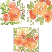 Framed Peachy Floral 3 Piece Art Print Set