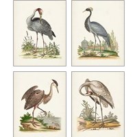 Framed Antique Heron & Cranes 4 Piece Art Print Set
