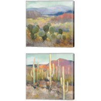 Framed High Desert 2 Piece Canvas Print Set